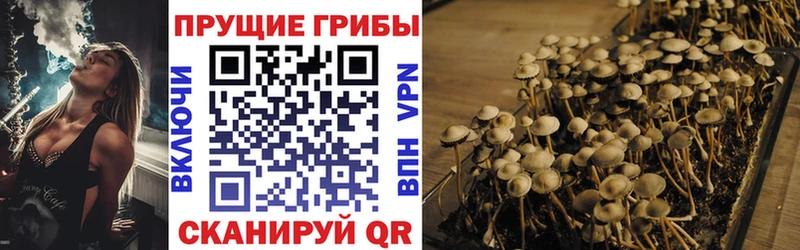 Купить где  Харабали  Галлюциногенные грибы Magic Shrooms 